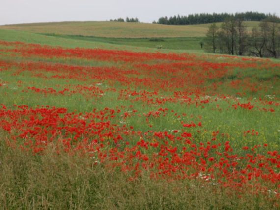 Mazury - cud natury