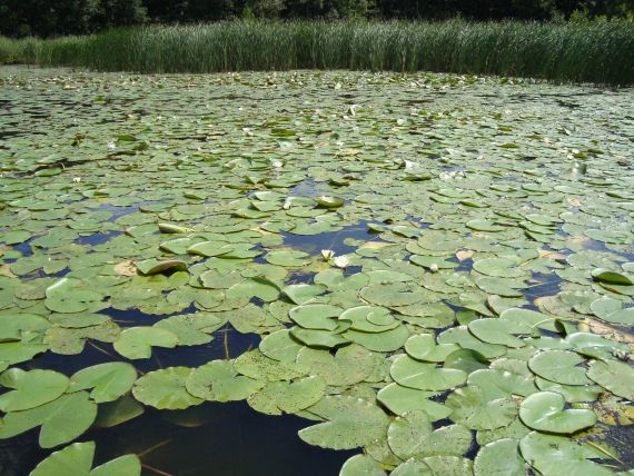 Mazury - cud natury