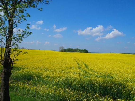 Mazury - cud natury
